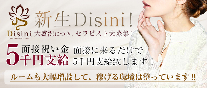 Disiniの求人